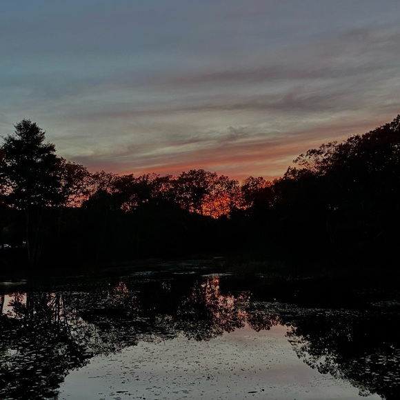 Canvases 8x10 $25 10x10 $40 any bigger $60 If you want anything’s pm me - Picture 1 of 16